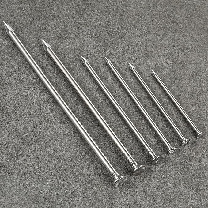 (55 pcs)2-1/2 inch Stainless Steel 304 Nails, Hanging Nails, Wall Nails, Dowels, Long Nails