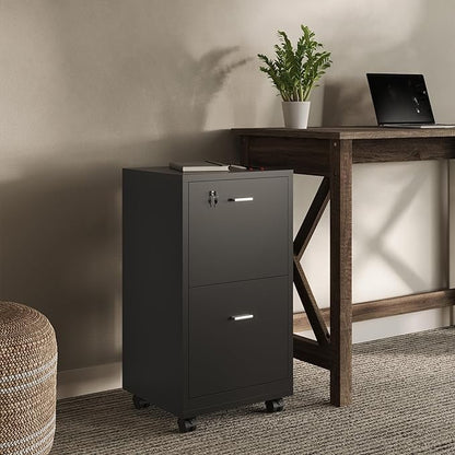 File Cabinet - 2-Drawer Cabinet with Lock and Deep Drawer Storage - Rolling Filing Cabinet for Under The Desk, Home, or Office by Lavish Home (Black)