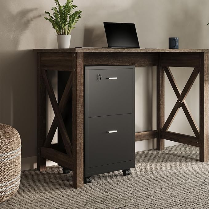 File Cabinet - 2-Drawer Cabinet with Lock and Deep Drawer Storage - Rolling Filing Cabinet for Under The Desk, Home, or Office by Lavish Home (Black)