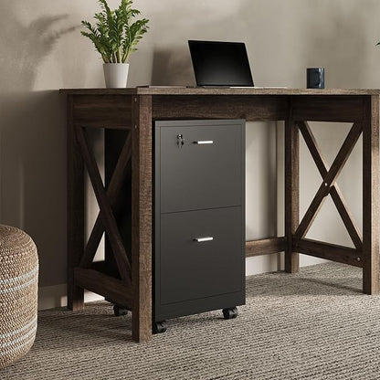 File Cabinet - 2-Drawer Cabinet with Lock and Deep Drawer Storage - Rolling Filing Cabinet for Under The Desk, Home, or Office by Lavish Home (Black)