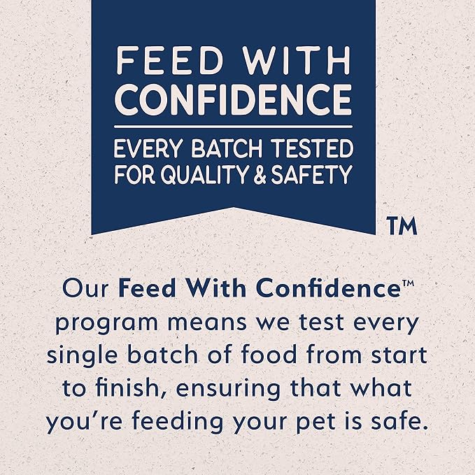 Natural Balance Limited Ingredient Mini-Rewards Salmon Grain-Free Dog Training Treats for Dogs | 5.3 Ounce Canister
