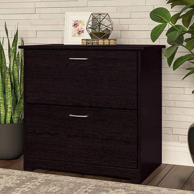 Bush Home Cabot 2 Drawer Lateral File Cabinet in Espresso Oak, Home Office Chest for Letter, Legal, and A4-size Document Storage